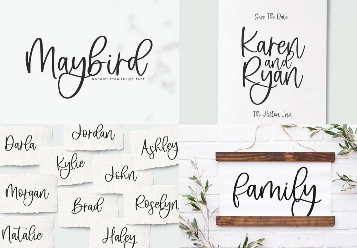 Modern Script Fonts Bundle free download preview 8 – Modern Fonts font