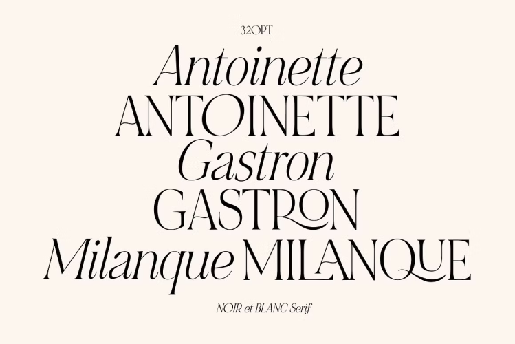 NOIR et BLANC Font free download preview 3 – Serif Fonts font