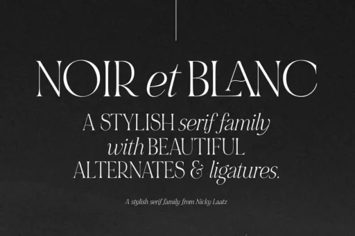 NOIR et BLANC Font free download – Serif Fonts font preview image for Windows and Mac