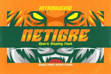 Netigre Sport Font free download – Creative font preview