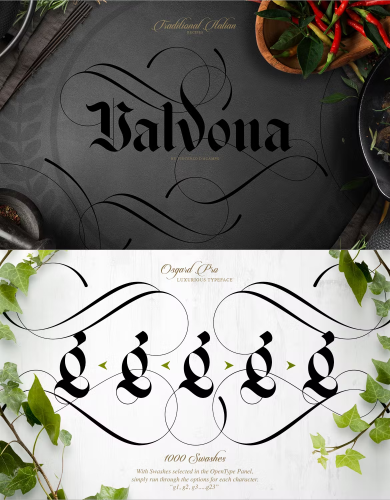 Osgard Pro Font free download preview 1 – Serif Fonts font