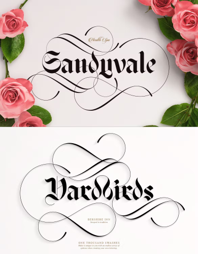 Osgard Pro Font free download preview 2 – Serif Fonts font