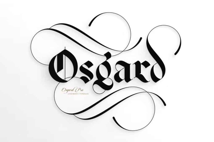 Osgard Pro Font free download preview 3 – Serif Fonts font