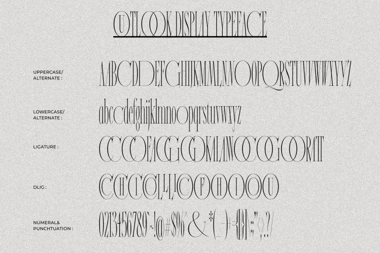 Outlook Font Duo free download preview 5 – Serif Fonts font