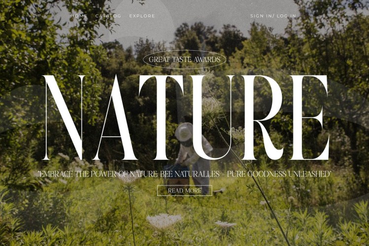 Peach Charley Modern Serif Font free download preview 3 – Serif Fonts font