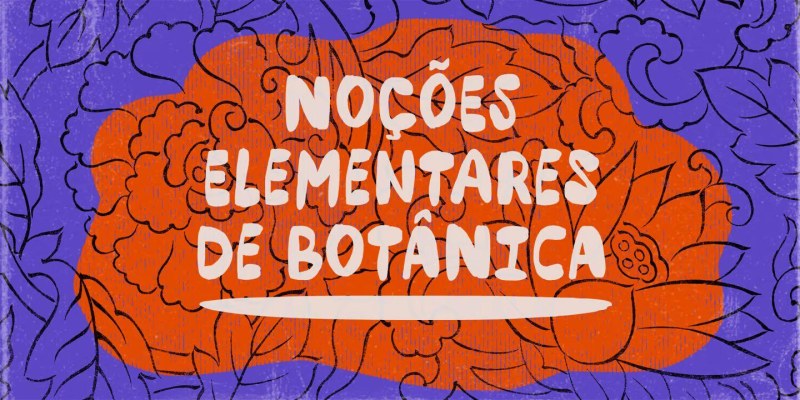 Petulante Font Family free download preview 9 – Font Family font