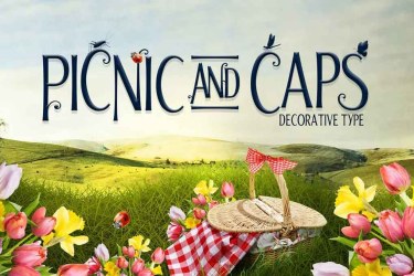 Picnic Caps Font free download – Serif Fonts font preview