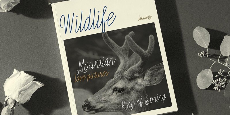 Poruka Font free download preview 3 – Typeface font