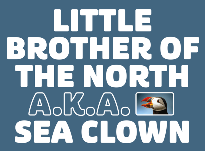 Puffin Font Family free download preview 2 – Font Family font