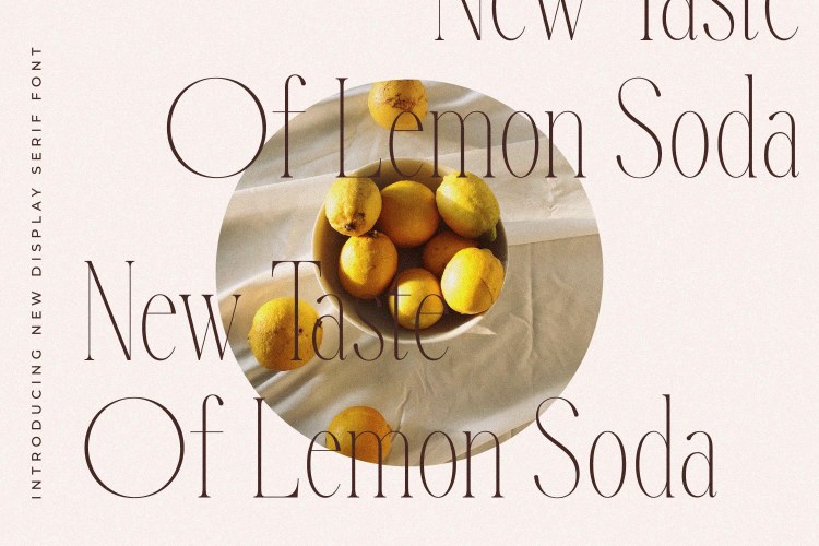 Qalderon Font free download preview 2 – Serif Fonts font