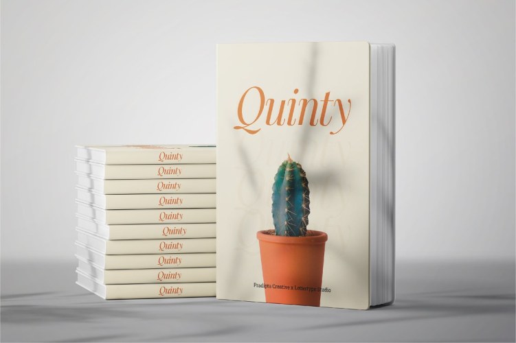 Quinty a Luxury Serif Font Family free download preview 1 – Serif Fonts font