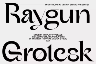 Raygun Font free download – Display Fonts font preview