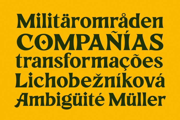Rhinegold Font free download preview 4 – Serif Fonts font