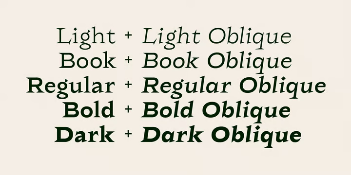 Rokha Font Family free download preview 3 – Font Family font