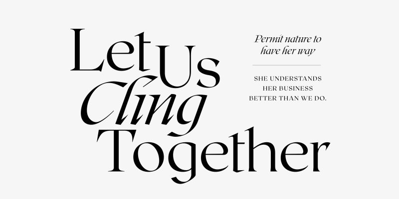 Roxborough Font free download preview 3 – Serif Fonts font