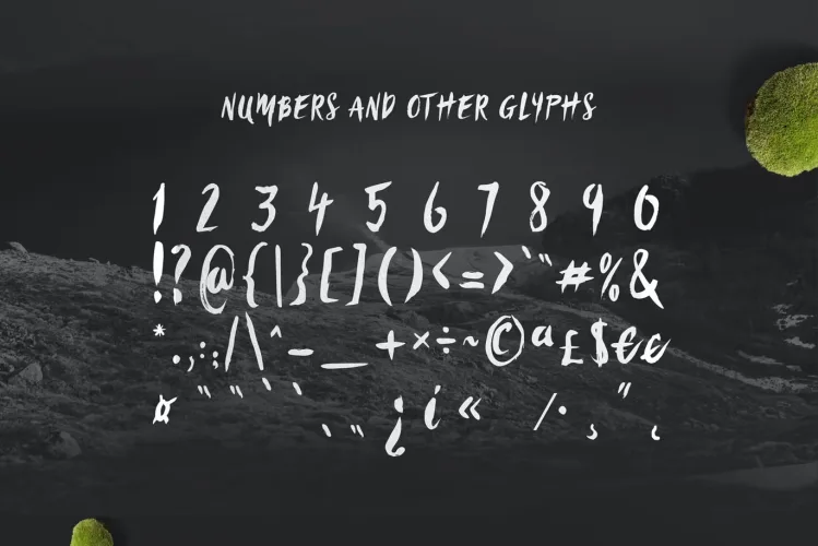 Sanös Extended Script Font preview 3 – Serif Fonts font sample