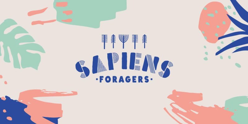 Sapiens Font Family free download preview 6 – Font Family font
