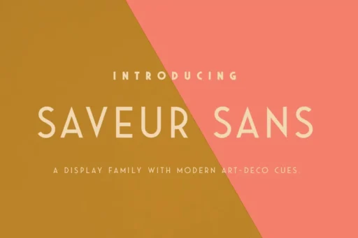 Saveur Sans Font free download – Display Fonts font preview image for Windows and Mac