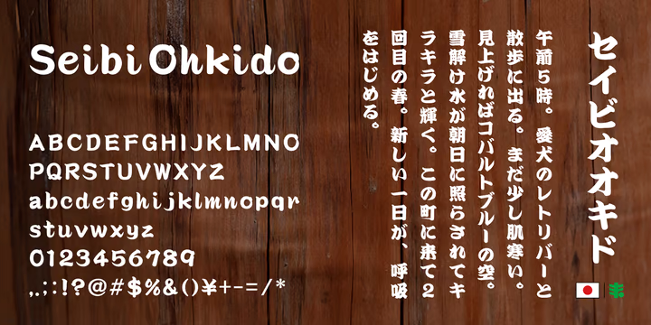 Seibi Ohkido Font free download preview 3 – Display Fonts font