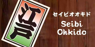 Seibi Ohkido Font free download – Display Fonts font preview