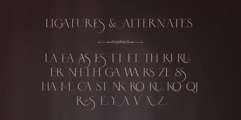 Selini Display Font free download preview 6 – Display Fonts font
