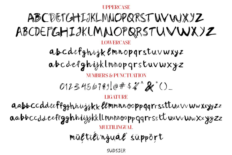 Sudsier – Hand Drawn Font free download preview 3 – Handwriting Fonts font
