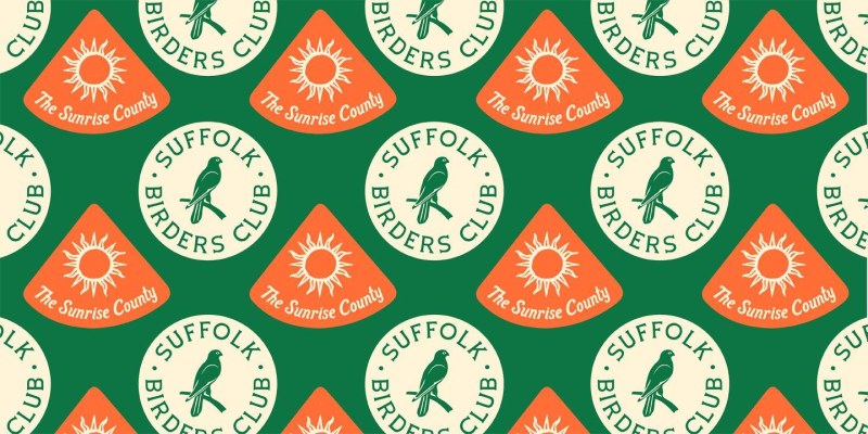 Suffolk Font Family free download preview 4 – Font Family font