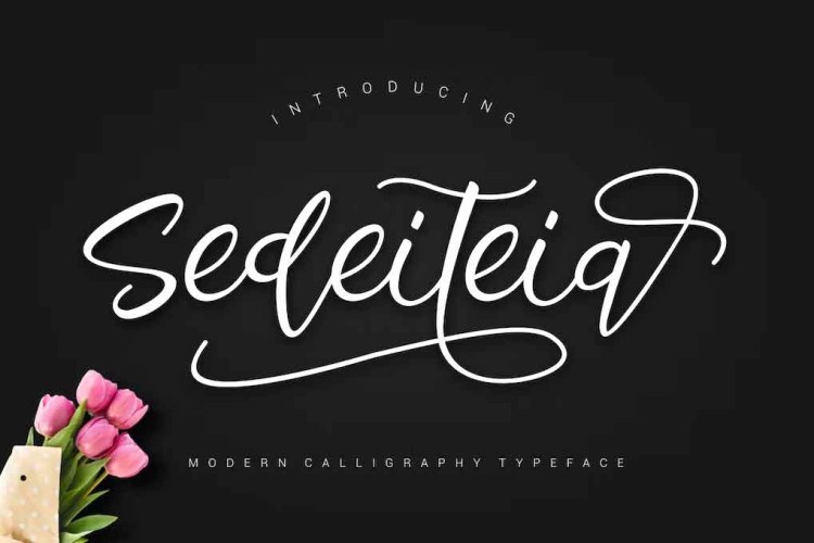 Suki Font free download preview 3 – Script And Handwritten font