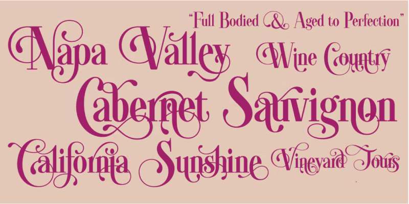 Swashington Font free download preview 1 – Decorative Fonts font
