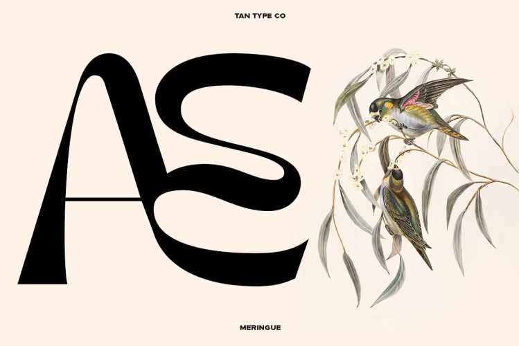 TAN MERINGUE Font free download preview 3 – Display Fonts font