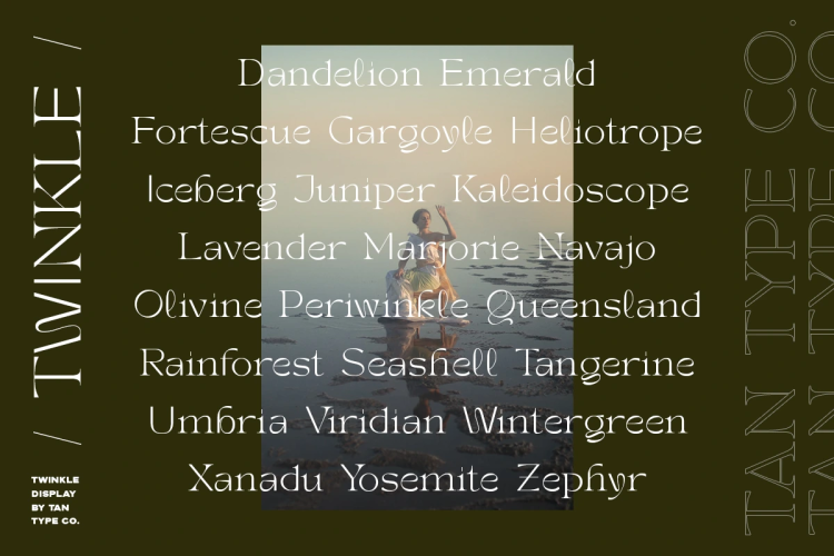 TAN TWINKLE Font free download preview 2 – Serif Fonts font