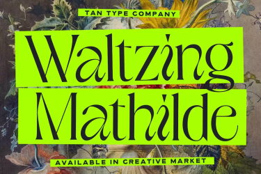 TAN WALTZING MATHILDE Font free download – Elegant font preview