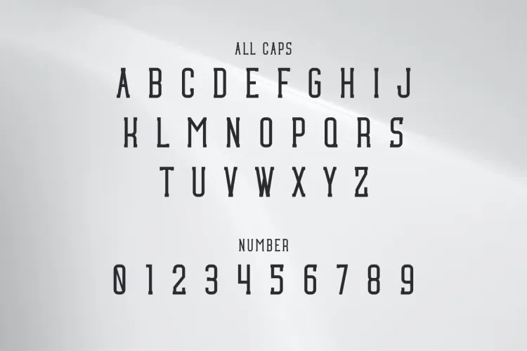 Tepoid Font free download preview 3 – Serif Fonts font