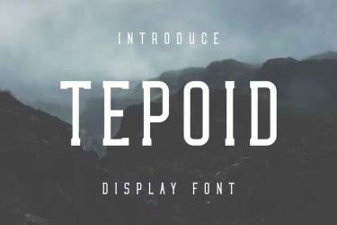 Tepoid Font free download – Serif Fonts font preview