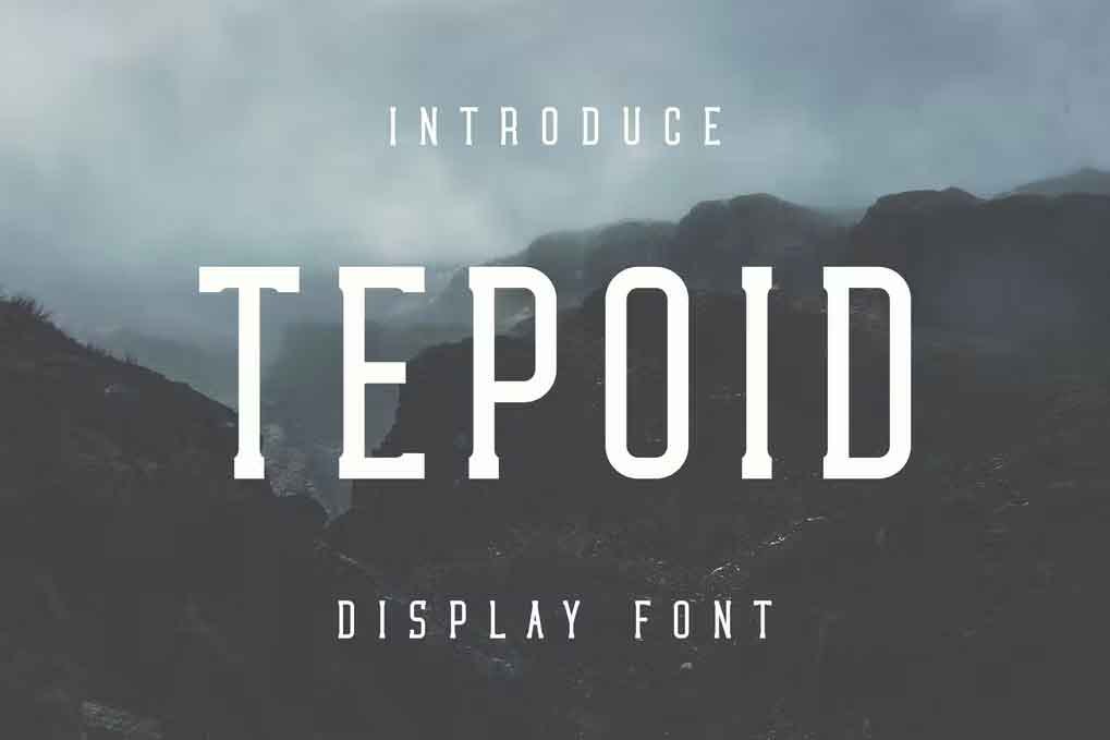 Tepoid Font free download – Serif Fonts font preview image for Windows and Mac