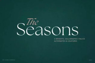 The Seasons Font free download – font preview
