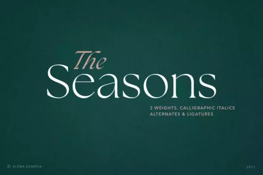 The Seasons Font free download preview 4 – Serif Fonts font