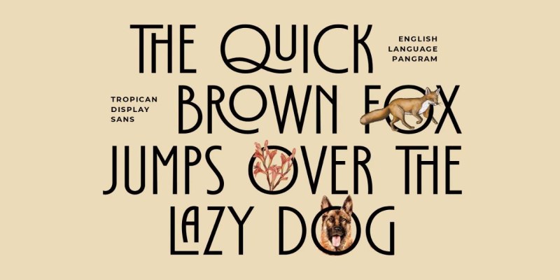 Tropican Font free download preview 4 – Display Fonts font