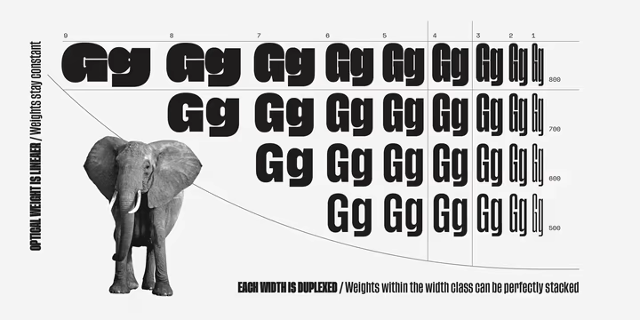 Tusker Grotesk Font Family free download preview 3 – Sans Serif Fonts font