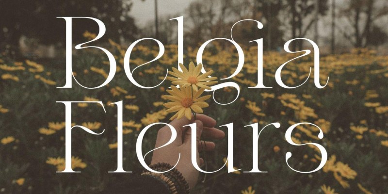 Valery Font free download preview 8 – Serif Fonts font