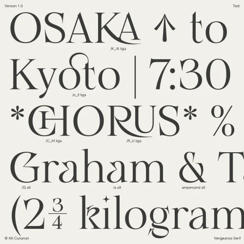 Vengeance Serif Font free download preview 6 – Serif Fonts font