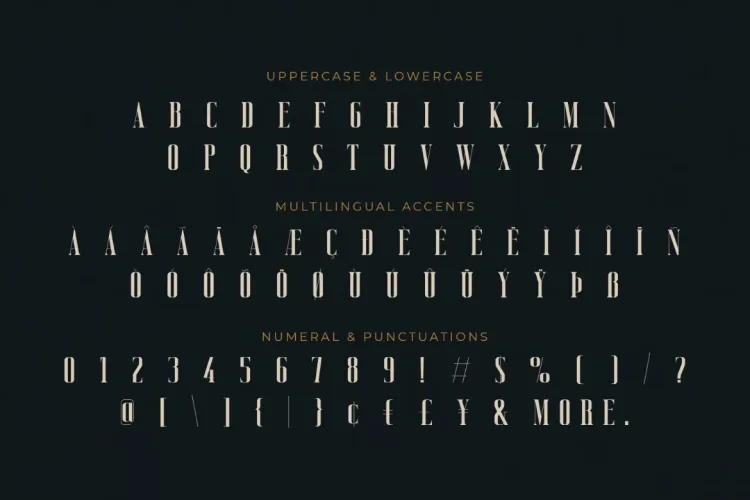 Vicenza Font preview 6 – Serif Fonts font sample