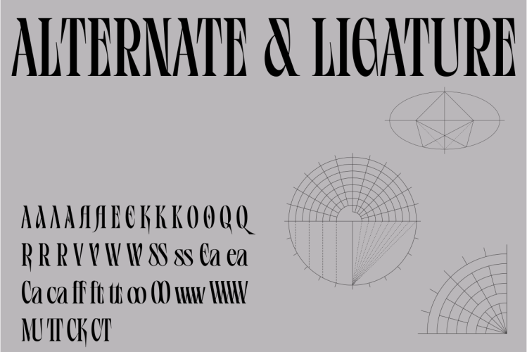 Vifellia Font free download preview 3 – Serif Fonts font