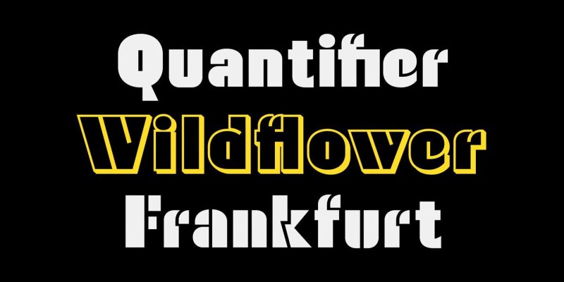 Waldo Font Family free download preview 5 – Display Fonts font