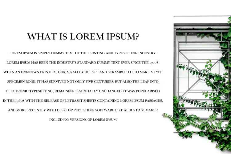 Wensley Font free download preview 1 – Serif Fonts font