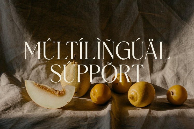 Westiga Font free download preview 6 – Serif Fonts font