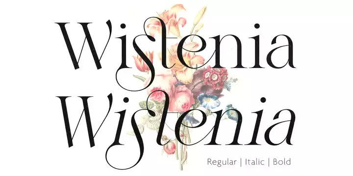 Wistenia Font free download preview 10 – Serif Fonts font
