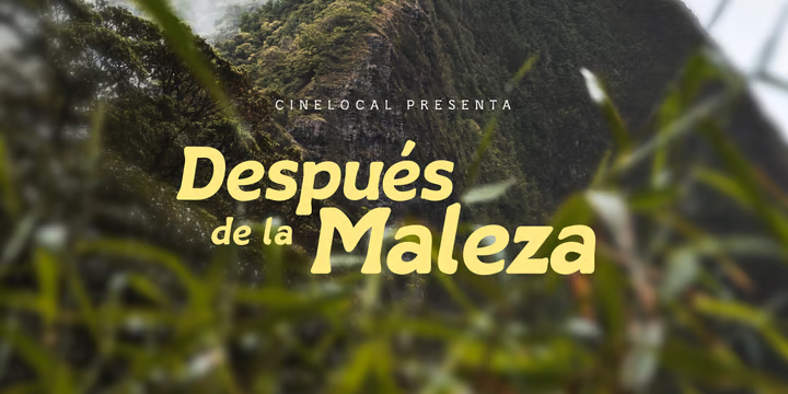 Zafrada Font Family free download preview 4 – Display Fonts font