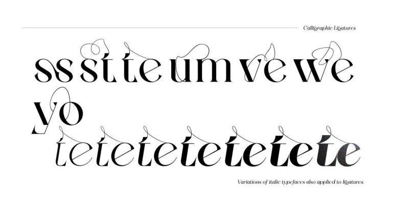 Zenoa Font Family free download preview 10 – Display Fonts font