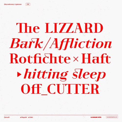 Zukunft Font free download preview 5 – Serif Fonts font